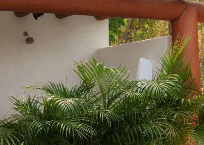 The At Solana Boutique Bed & Breakfast Zihuatanejo
