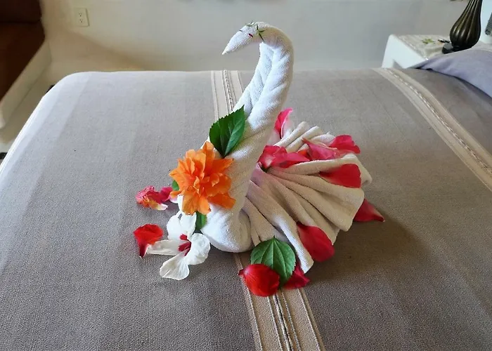 The At Solana Boutique Bed & Breakfast